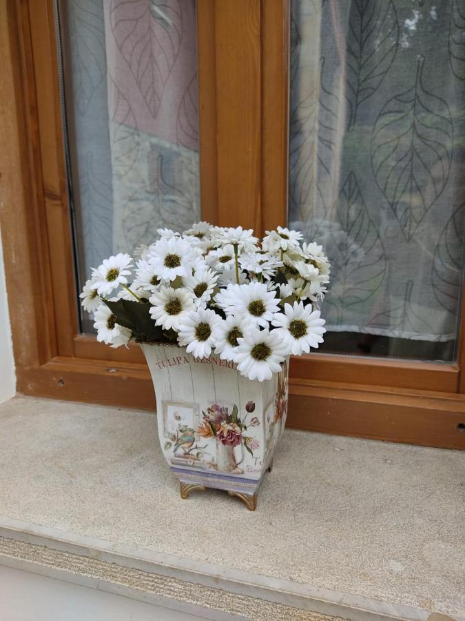 Вілла Aromas De Corain Кангас-де-Оніс Екстер'єр фото